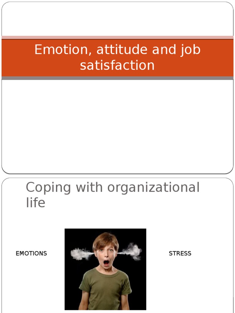 Understanding Job Emotions and Satisfaction | PDF | Job Satisfaction ...