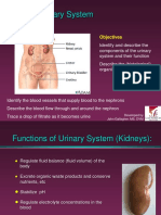 ANATOMI - Chapter24UrinaryMarieb