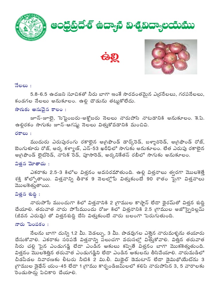 Onion Cultivation Practices (Telugu) PDF