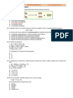 145_093513_ReacoesInorganicasAgamenon.pdf