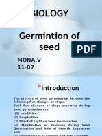 Biology Germintion of Seed: Mona.V 11-B7