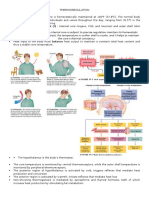 Thermoregulatory Concept (!) : Internal Core (Organs, CNS, and Muscles) and Outer Shell (Skin