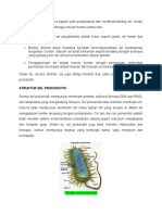 Struktur Sel Terdiri Dari Dua Bagian Yaitu Protoplasma Dan Membran