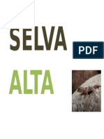 Selva Alta