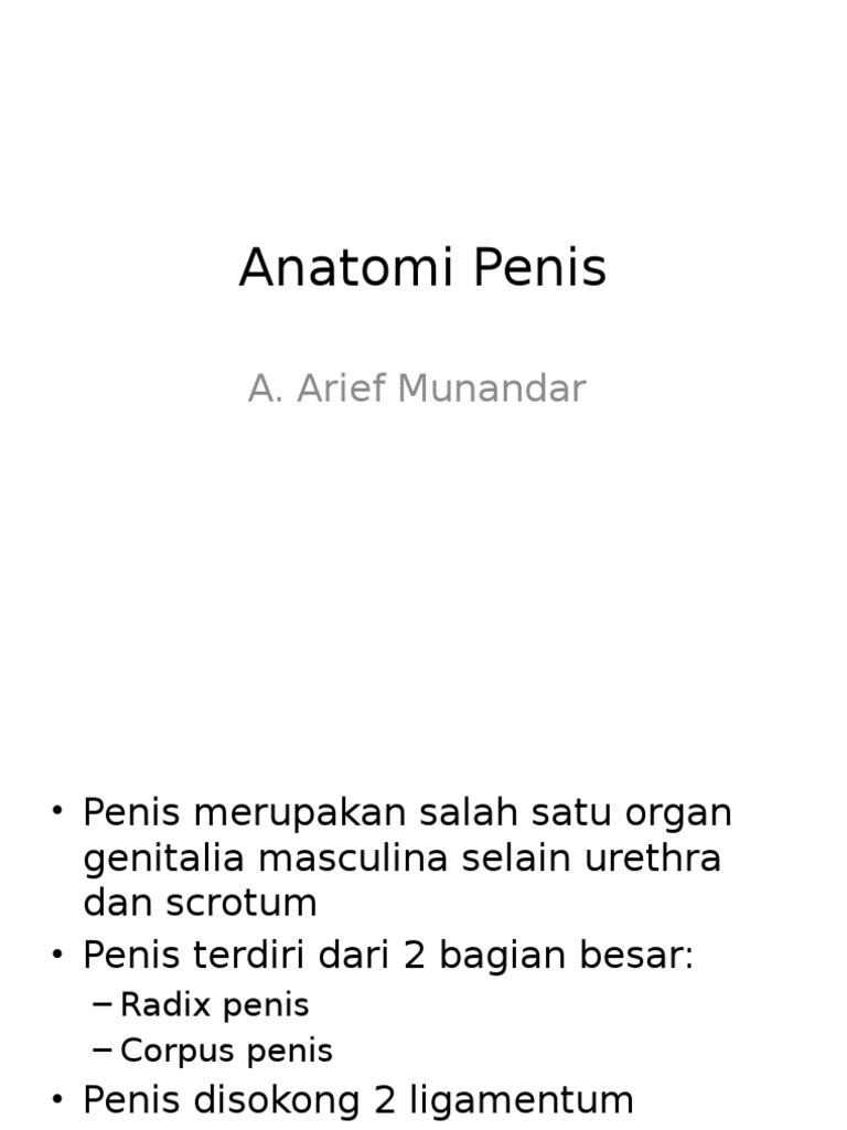 struktur-dan-vaskularisasi-penis-manusia-pdf