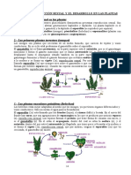 12.- La reproducción sexual y el desarrollo en las plantas.doc