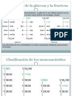 Diapositivas Carbohidratos