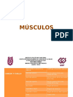 Presentacion Musculos y Huesos