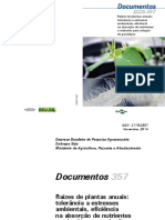 Raízes de plantas anuais tolerância a estresses ambientais, eficiência na absorção de nutrientes e métodos para seleção de genótipos.pdf