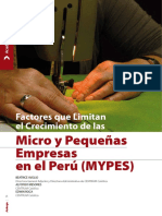 Micro y Pequeñas Empresasen El Peru