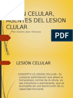 Lesion Celular, Agentes Del Lesion Clular