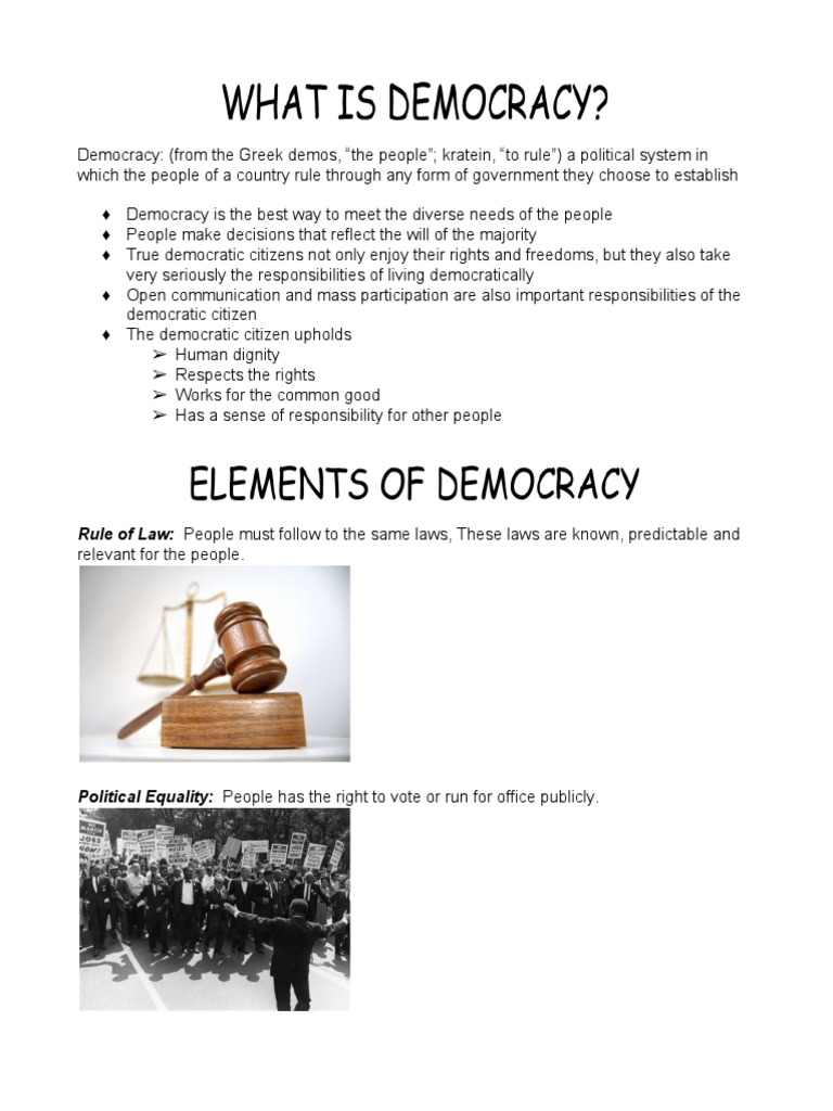 Understanding Democracy and Citizenship | PDF