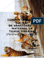 Comp. Social-Vanatoare-maternal Tigrul Siberian