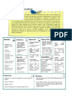 Ejemplo Modelo Canvas PDF