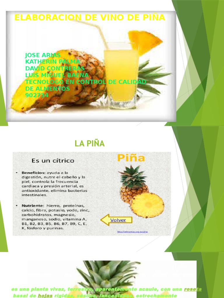 Elaboracion Del Vino Con Piña | PDF