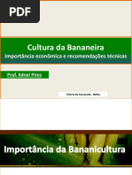 Cultivo de Bananeiras