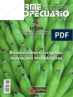 Informe Banana