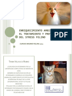 La Biblia de los Gatos: ¿Comprendes su lenguaje? Descubre cómo comunicarte  con tu felino eBook : @Gatitodedama, Por: : Libros