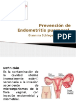 Endometritis puerperal