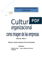 Cultura Organizacional, Ensayo.docx