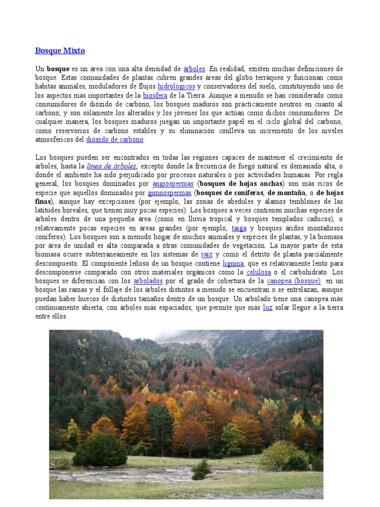 Bosque Mixto PDF Los bosques Arboles