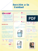 Reduccion A La Unidad PDF