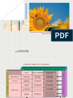 planagregadodeproduccion-100118103255-phpapp02.pdf