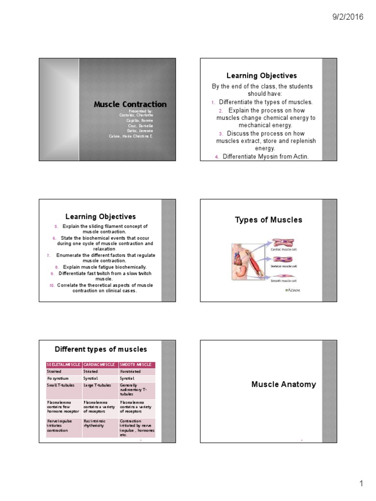 Muscle Contraction: Types and Mechanisms | PDF | Muscle Contraction | Actin