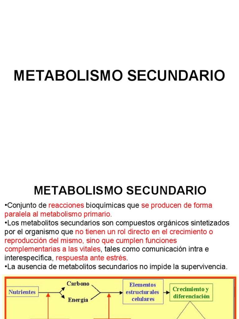 8. METABOLISMO SECUNDARIO.pdf Metabolismo Penicilina