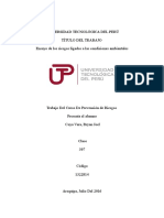 Ensayo de Los Riesgos Ligados A Las Condiciones Ambientales