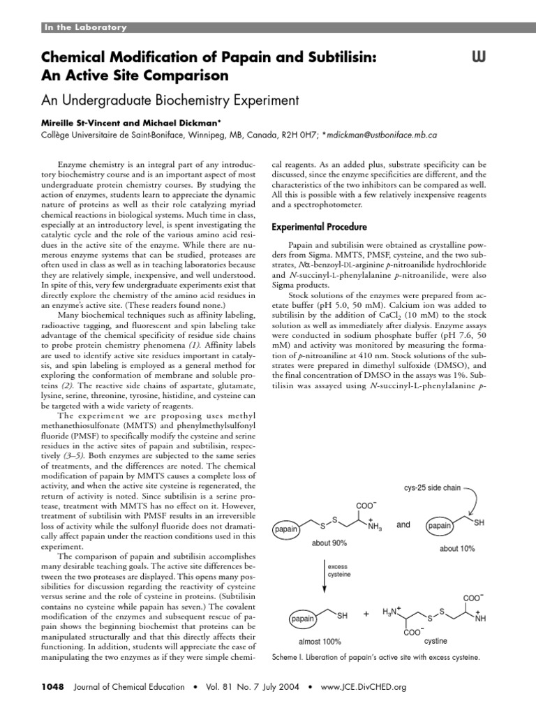 Papain Active Site Enzyme