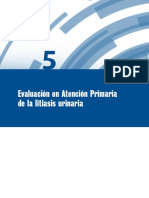 Dialnet EvaluacionEnAtencionPrimariaDeLaLitiasisUrinaria 4218699 PDF