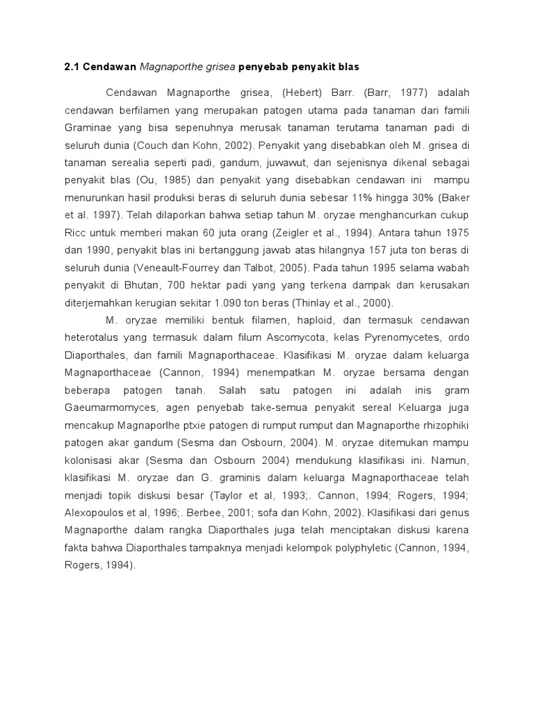 Magnaporthe Sp. | PDF