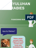 Penyuluhan Rabies PKM BUA