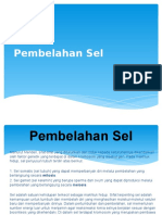 Pembelahan Sel