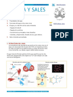 apuntes-bioquc3admica-extendidos