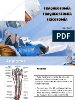 Anatomia quirurgica expo.pdf