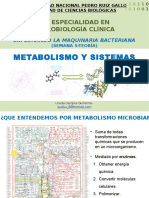 Clase 5t_metabolismo y Sistemas