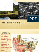 Poluarea Fonica