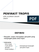 13.PENYAKIT TROPIS- Baru hasillokakarya 2012 (2).pptx