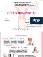 Diapositivas Fundamentos