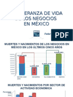 Presentación Esperanza de Vida de Los Negocios en México 2015