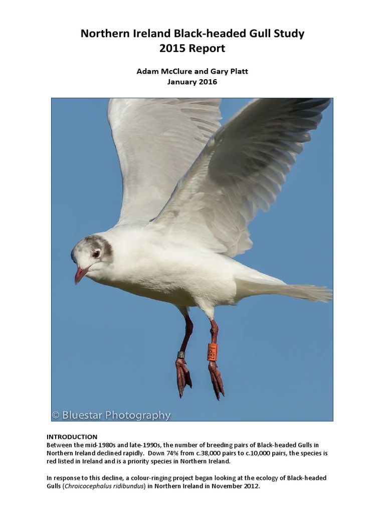 Download 2015 Annual Report | Ornithology | Birds | Free 30-day Trial | Scribd