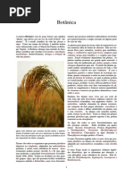 Botânica