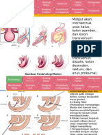 Referat Tumor Kolon