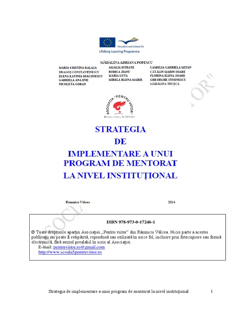 Strategie de Implementare A Unui Program de Mentorat La Nivel ...