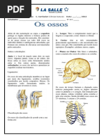 Exercicios de fixacao Ossos_EFII.pdf