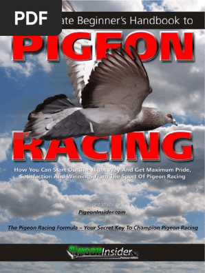 UltimateBeginnerHandbookPigeonRacing.pdf