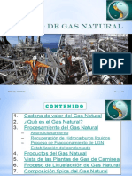 Proceso de Gas Natural