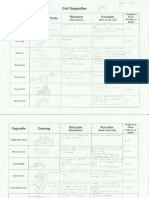 Biology Chart